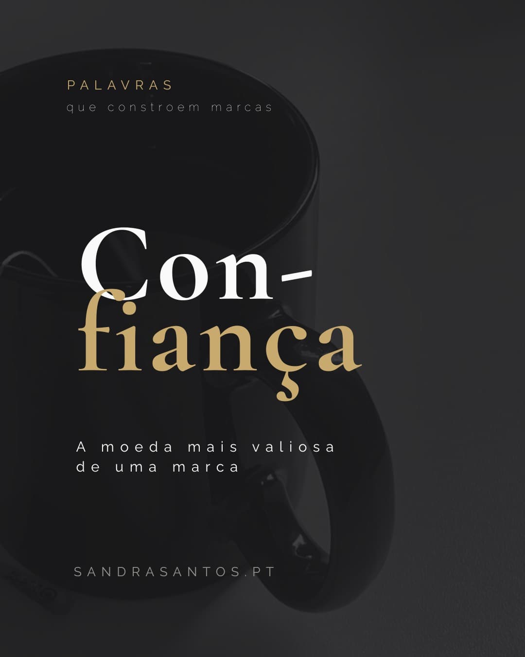 Sandra Santos — detalhe 2